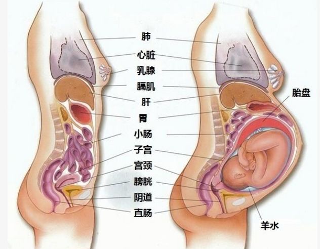 第250页