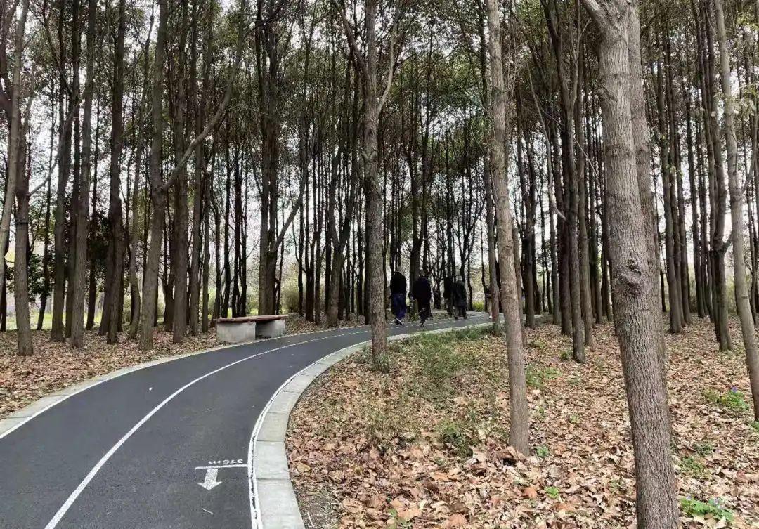 上海:符合条件家庭外环外买房不限购上海楼市新政，符合条件家庭外环外购房不限购